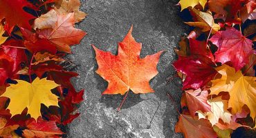 yescenter-canada-discounts